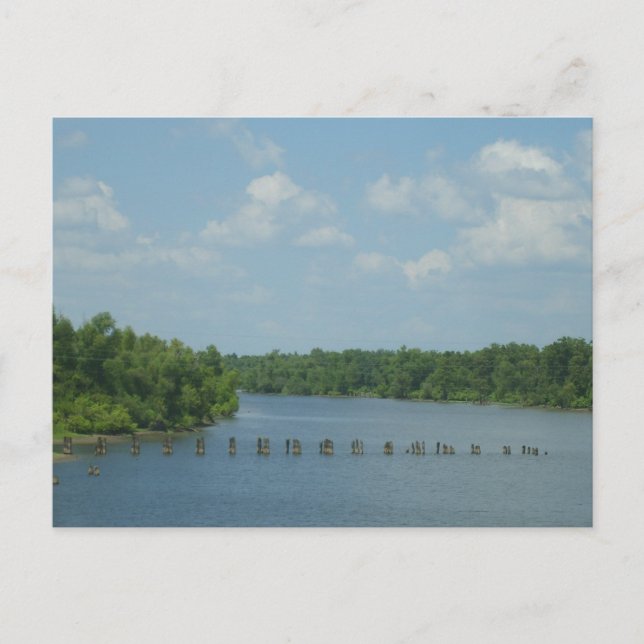 Wetlands Poster Postcard (Front)