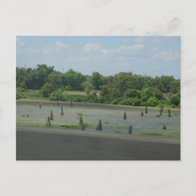 Wetlands Poster Postcard (Front)