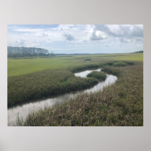 Wetlands Tolomato River Nature Photography Poster