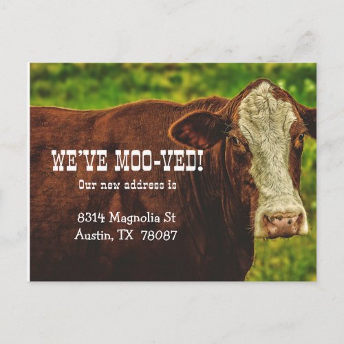Weve Moo_ved Moving Announcement Postcard