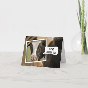 We've Moved Announcement with Cow