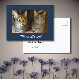 We've moved Cats Photo New Home Navy Blue Moving Announcement Postcard