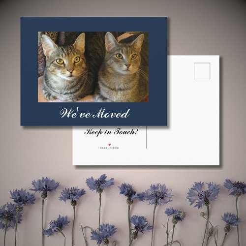 Weve moved Cats Photo New Home Navy Blue Moving Announcement Postcard