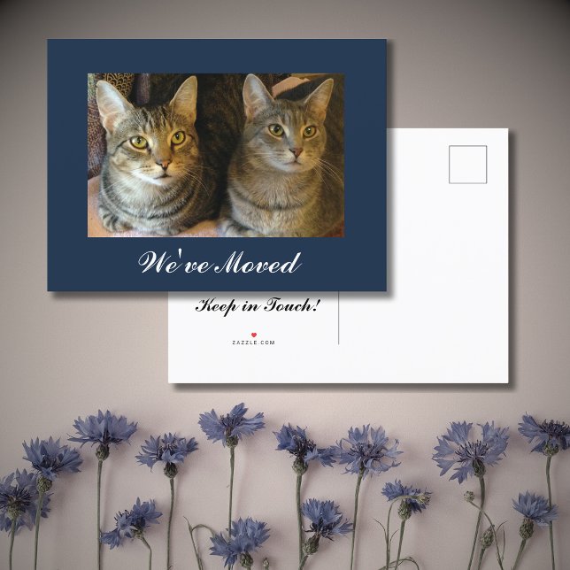 We've moved Cats Photo New Home Navy Blue Moving Announcement Postcard (Creator Uploaded)