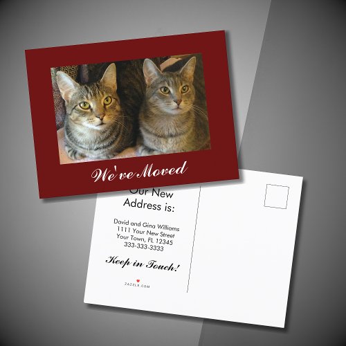 Weve moved Cats Photo Red Moving New Address Announcement Postcard