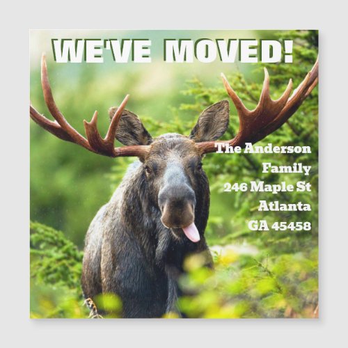 Weve Moved  Colorful Moose Moving Announcement