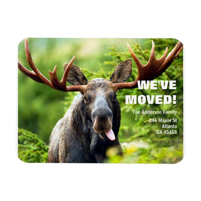 We've Moved | Colorful Moose Moving Announcement P Magnet (Horizontal)