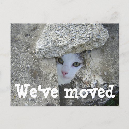 Weve moved Cute cat hiding Photo postcard