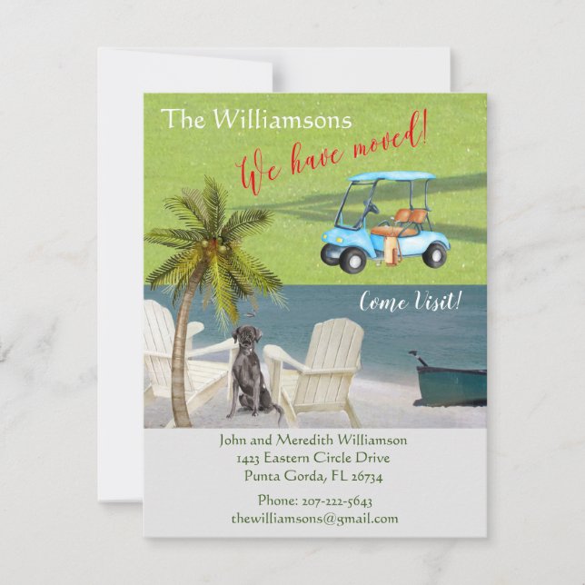 We've Moved Dog Ocean Beach Budget Move    Announcement (Front)