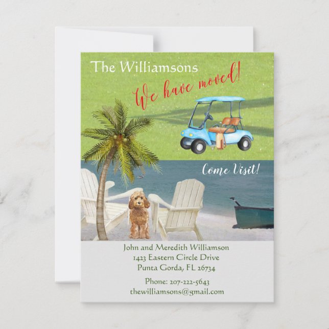 We've Moved Dog Ocean Beach Budget Move   Announcement (Front)