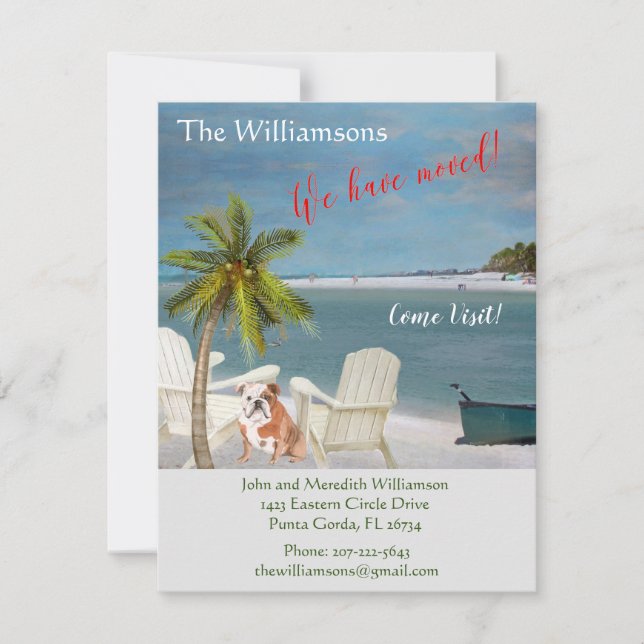 We've Moved Dog Ocean Beach Budget Move    Announcement (Front)