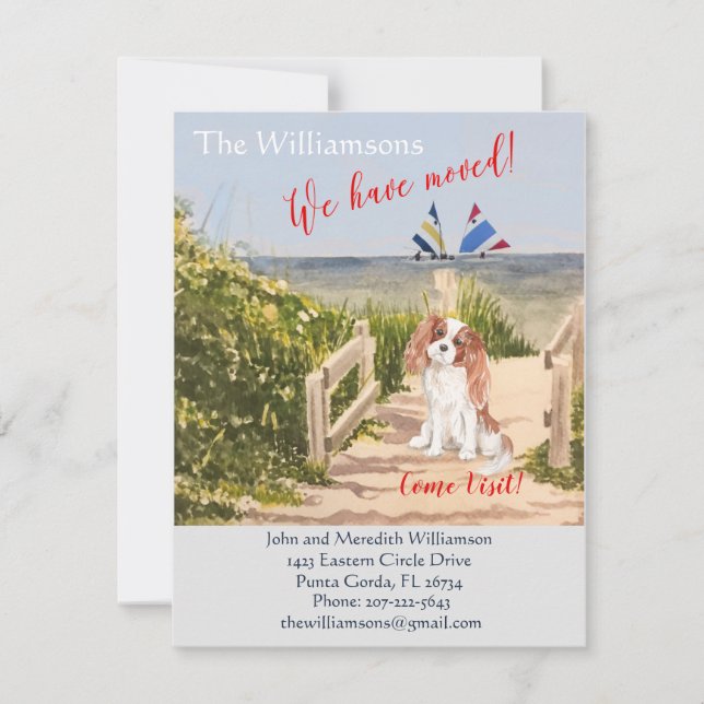 We've Moved Dog Ocean Beach Move Announcement (Front)