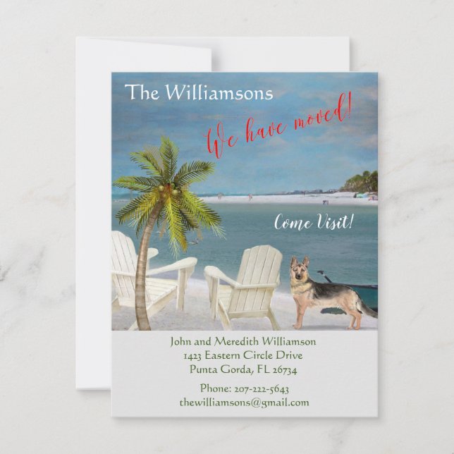 We've Moved Dog Ocean Beach Move     Announcement (Front)