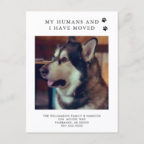 Weve Moved Dog Photo New Address Dog Moving  Announcement Postcard
