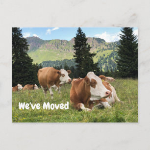 We've Moved Farm Ranch House Cow Pasture Announcement Postcard