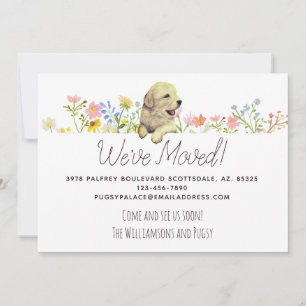 We've Moved! Golden Retriever Puppy Announcement
