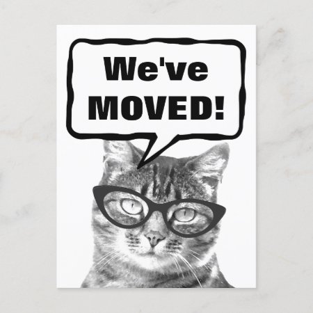 We've Moved Moving Postcards With Funny Cat