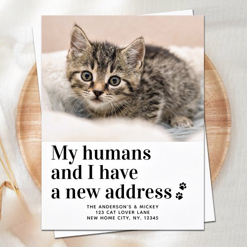 Weve Moved New Address Pet Photo Cat Moving Announcement Postcard