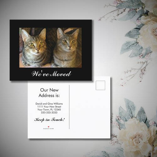 Weve moved New Home Cats Photo Black White Moving Announcement Postcard
