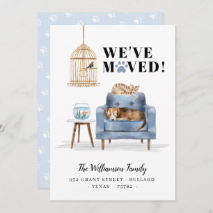We've Moved New Home Dog & Cat Sleeping Blue Sofa Announcement