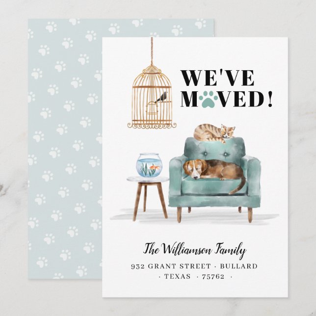 We've Moved New Home Dog & Cat Sleeping Green Sofa Announcement (Front/Back)