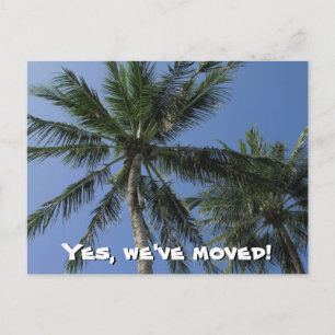 We've moved - Palm Trees on Postcard