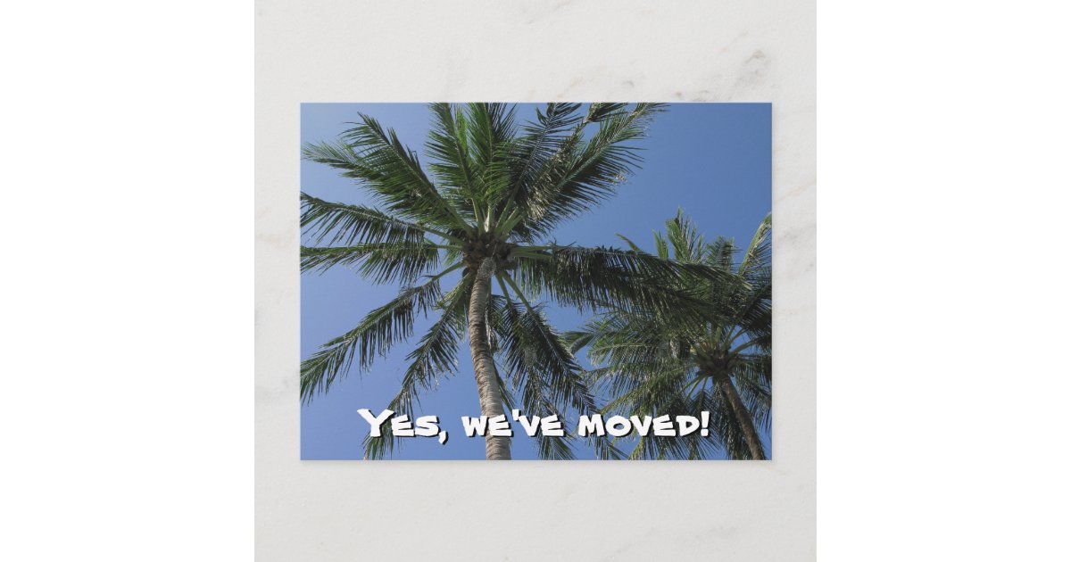 We've moved Palm Trees on Postcard Zazzle