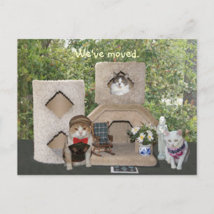 We've Moved to a Bigger House Announcement Postcard