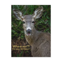 Whaa-aat?! It's Your Birthday!? Postcard