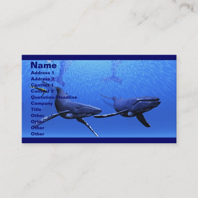 Whale 01 Business Card (Front)