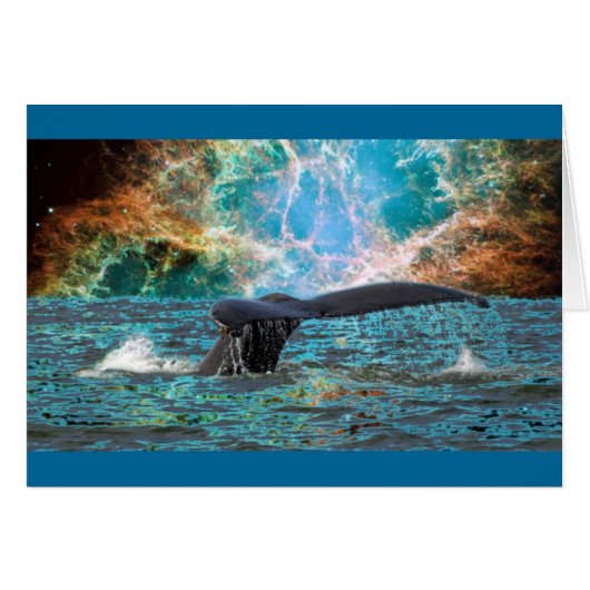 Whale and Supernova Cards (Front Horizontal)