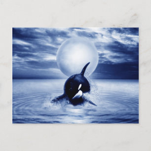 Whale and the moon in 2012 postcard