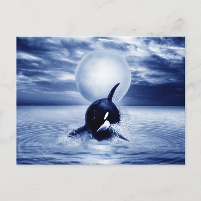 Whale and the moon in 2012 postcard (Front)