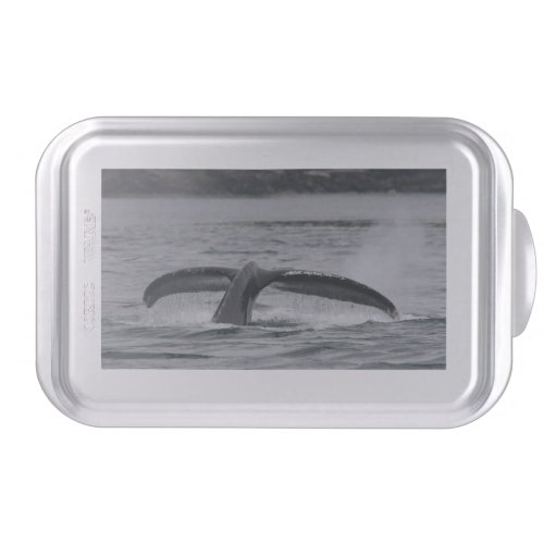 whale cake pan