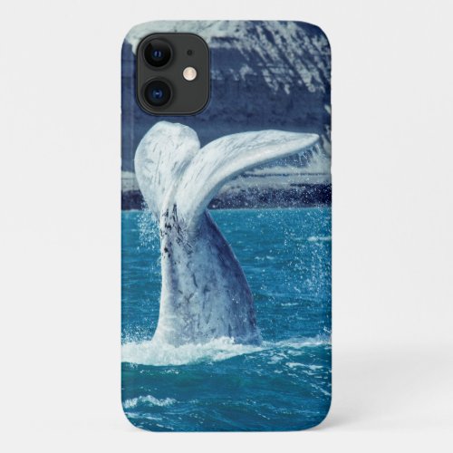 Whale calf tail _ Argentina iPhone 11 Case