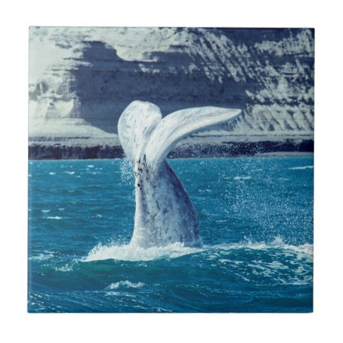 Whale calf tail _ Argentina Ceramic Tile