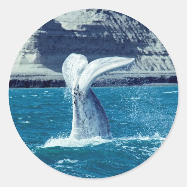 Whale calf tail - Argentina Classic Round Sticker (Front)