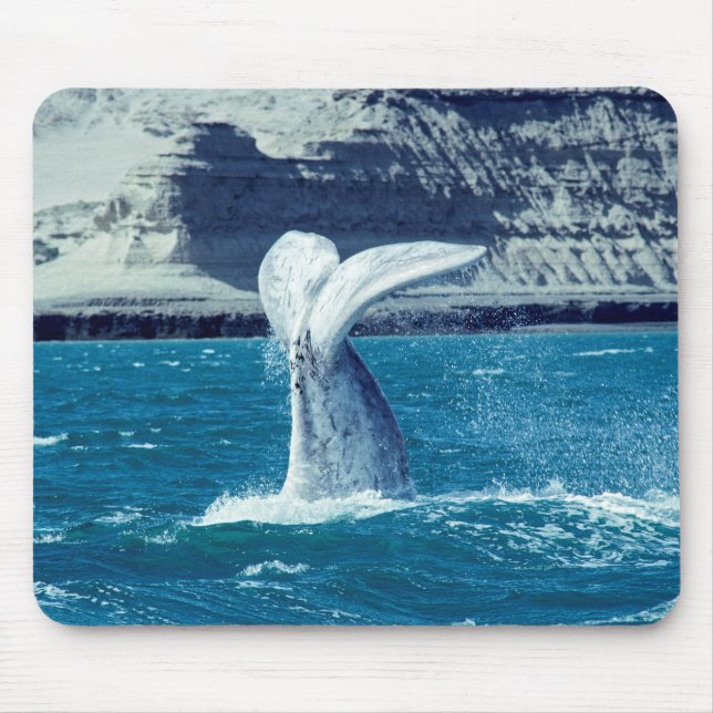 Whale calf tail - Argentina Mouse Pad (Front)