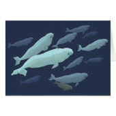 Whale Cards Personalized Beluga Whale Art Cards (Front Horizontal)