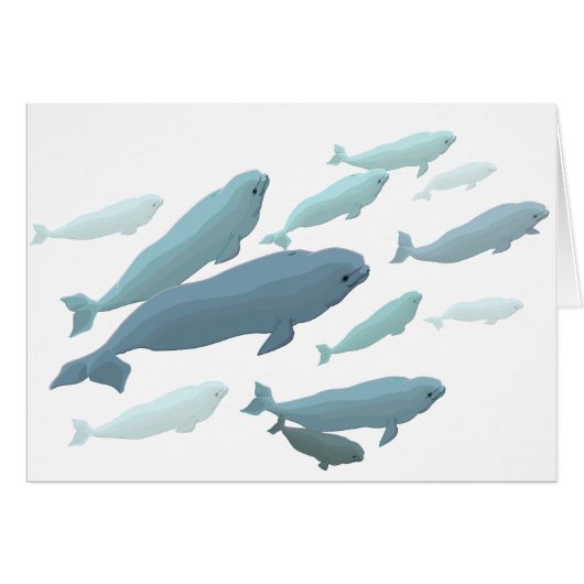 Whale Cards Personalized Beluga Whale Art Cards (Front Horizontal)