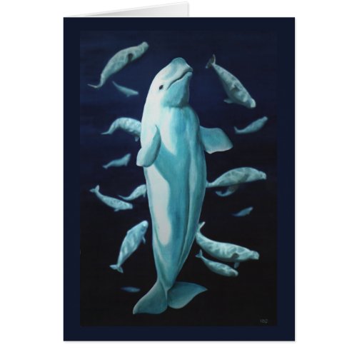 Whale Cards Personalized Beluga Whale Art Cards