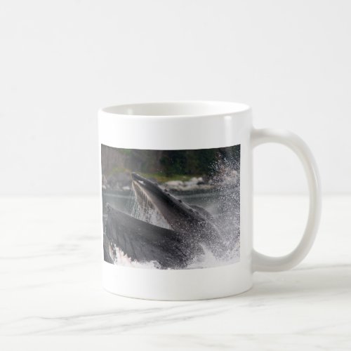 whale coffee mug