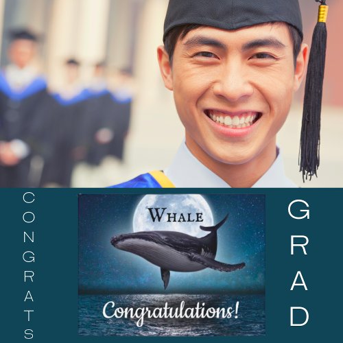 Whale Congratulations Graduation Postcard