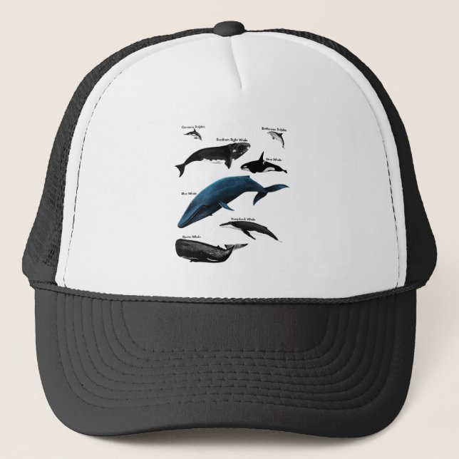 WHALE DAYS TRUCKER HAT (Front)