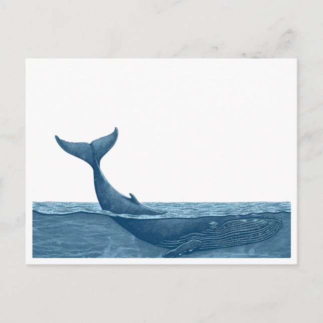 Whale in ocean   postcard (Front)