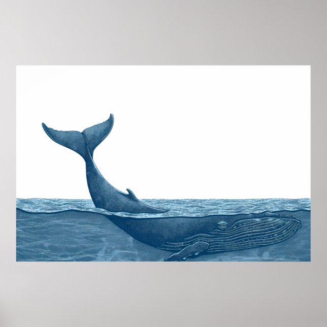 Whale in ocean   poster (Front)