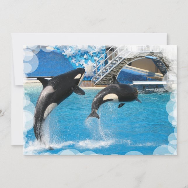 Whale Invitation Postcard (Front)