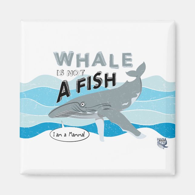 Whale is not a fish magnet (Front)
