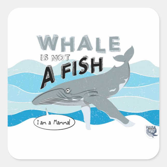 Whale is not a fish square sticker (Front)