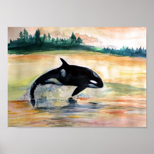 Whale Jumping Orca Value Poster Paper Matte